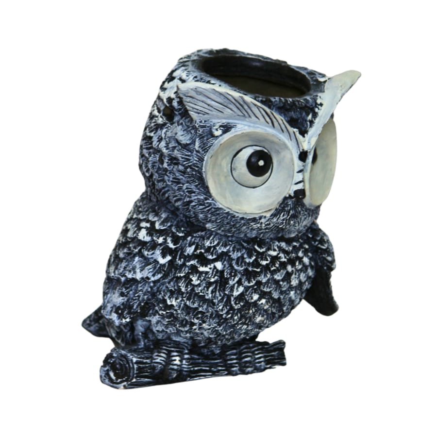 Owl Shape Flower Pot Corporate Gifts, Wedding Gifts photo 6